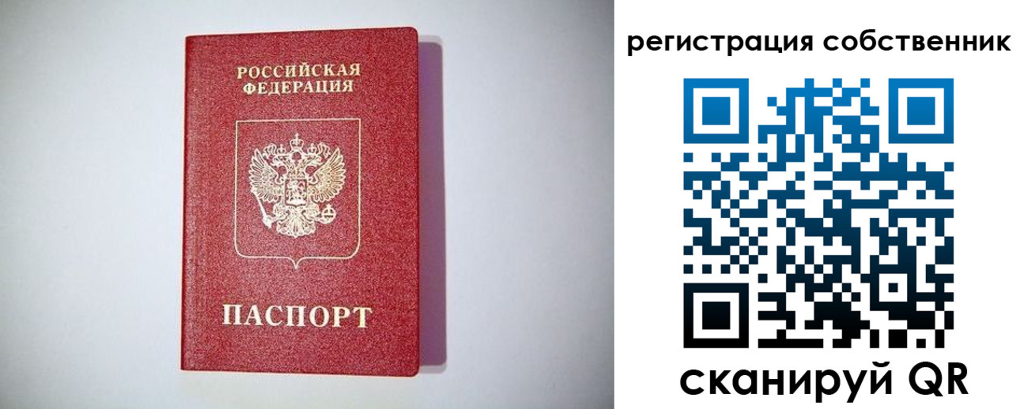 временная регистрация для школы в Невеле